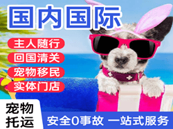通化机场空运国际宠物托运 【国
